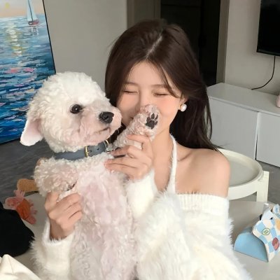 戴通纳之路