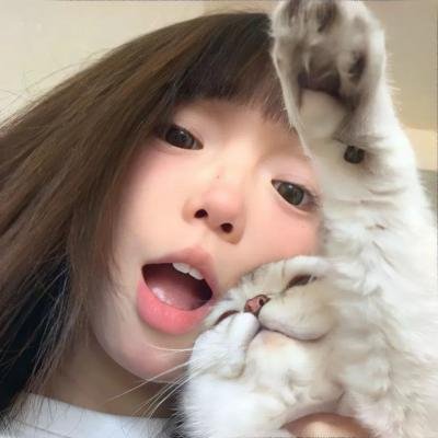 神探忠犬